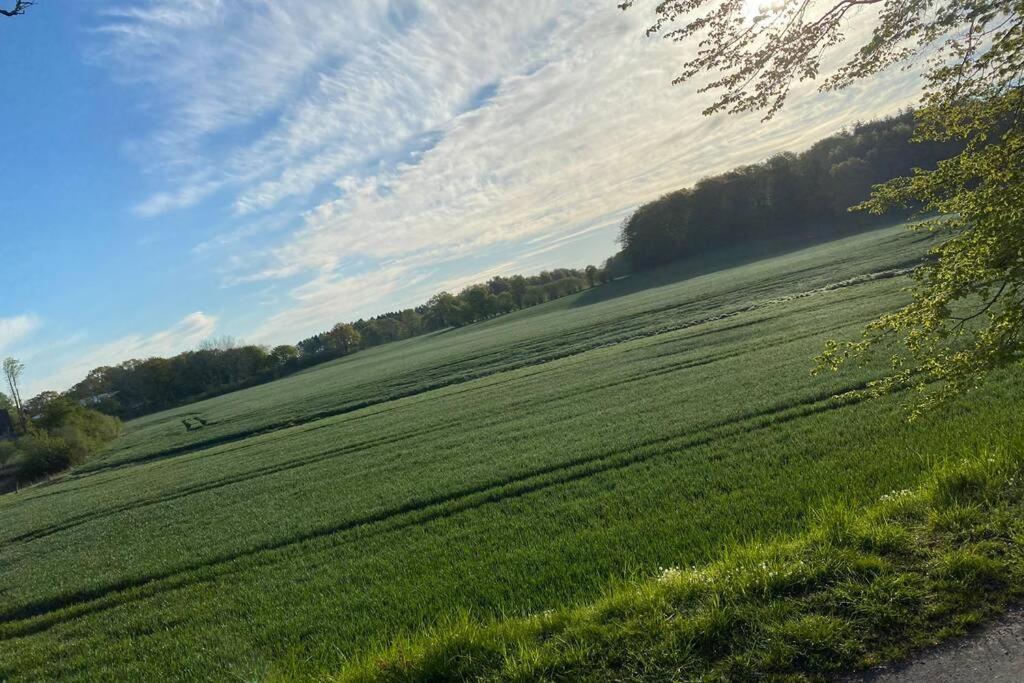Appartamento Schoene Mit Garten Beim Outletcenter 5 Km Boostedt